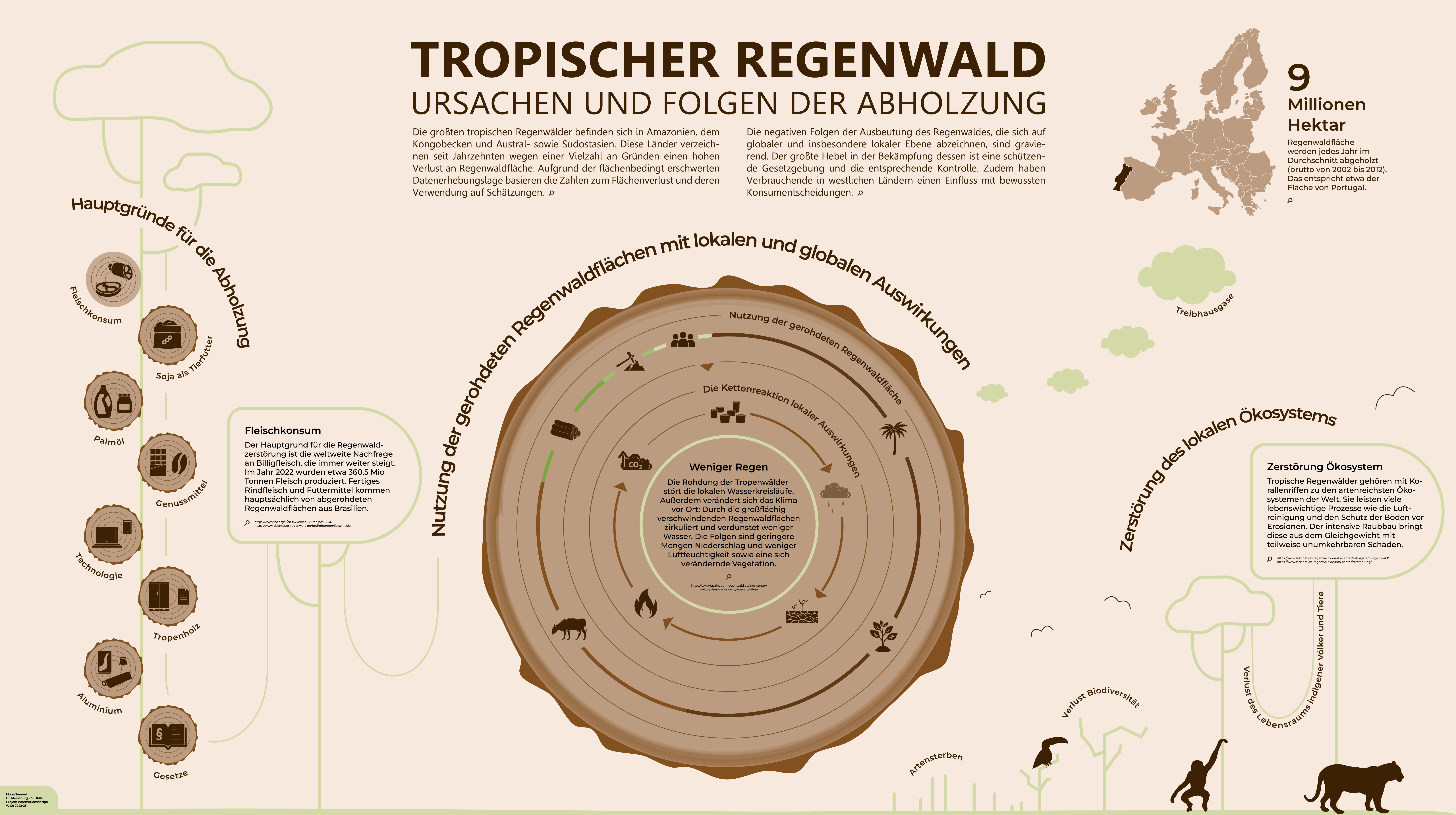 Infografik: Regenwald